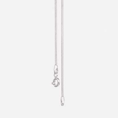 Snake Chain Anklet (Pair)
