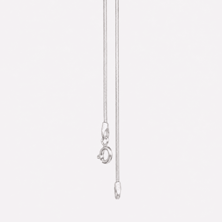 Snake Chain Anklet (Pair)